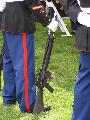 m16.jpg